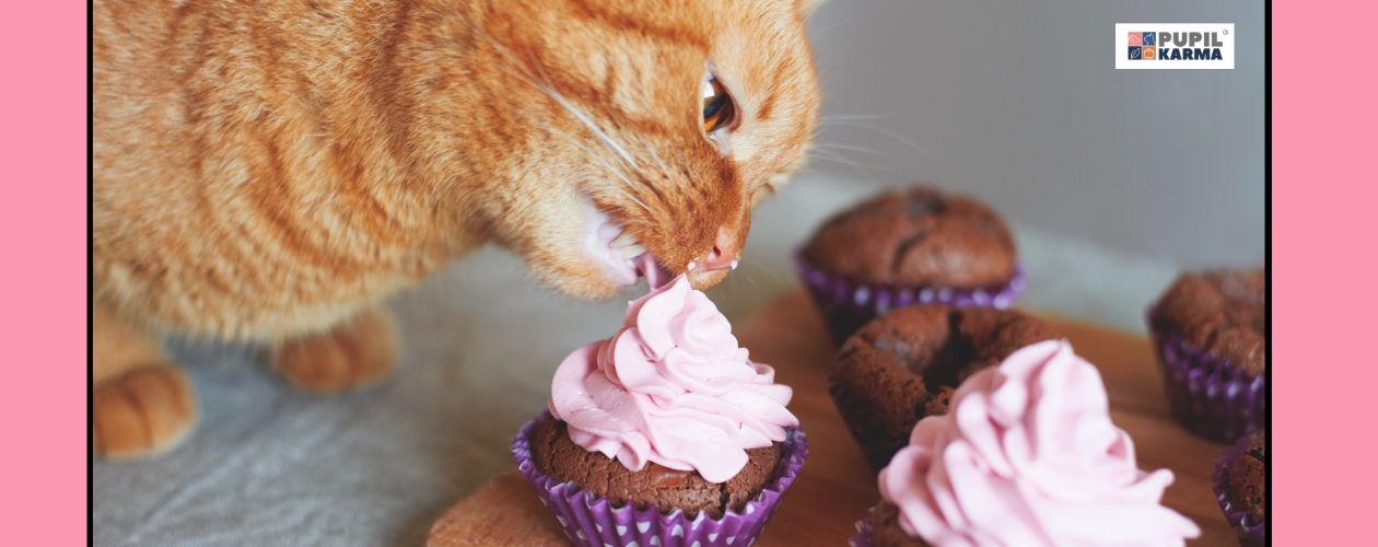 Przyczyny - zła dieta. Zdjęcie rudego kota, który zjada babeczki z różowym kremem. Paski różowe i logo pupilkarma.